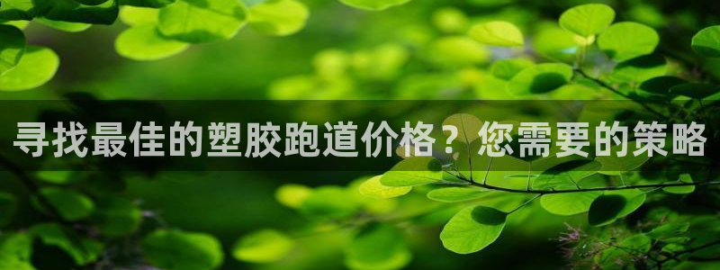尊龙登录地址：寻找最佳的塑胶跑道价格？您需要的策略