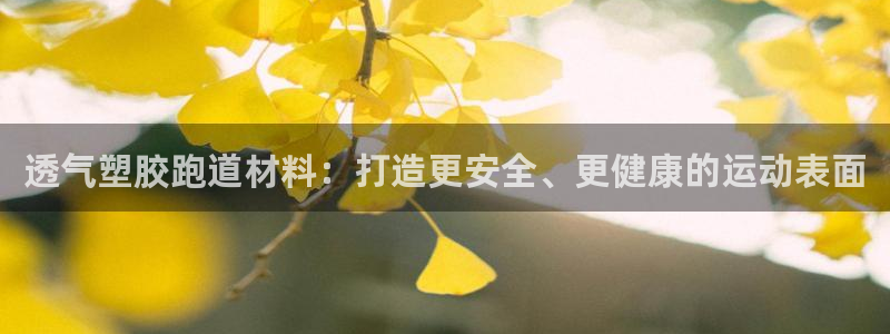 尊龙人生就是一博!：透气塑胶跑道材料：打造更安全、更健康的运动表面
