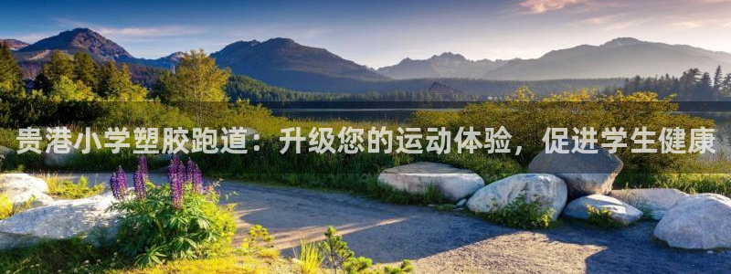 首页尊龙d88国际：贵港小学塑胶跑道：升级您的运动体