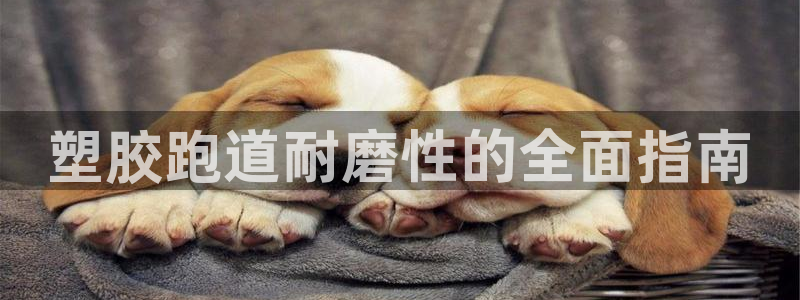 尊龙-人生就是博：塑胶跑道耐磨性的全面指南