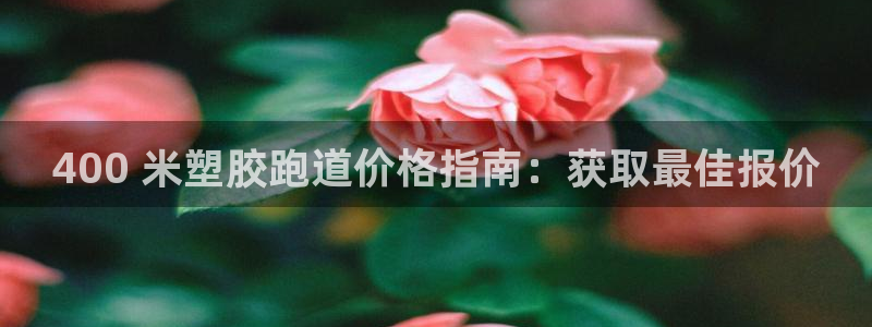 z6尊龙凯时旗舰厅首页：400 米塑胶跑道价格指南：获取最佳报价