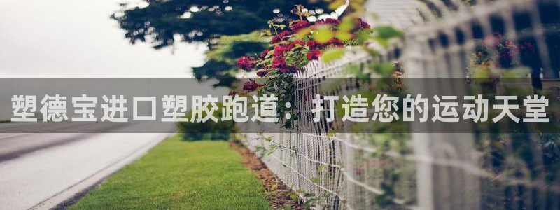 尊龙app|首选agdaohang：塑德宝进口塑胶跑道：打造您的运动天堂