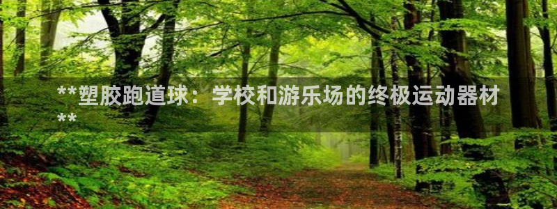 凯时游戏app：**塑胶跑道球：学校和游乐场的终极运
