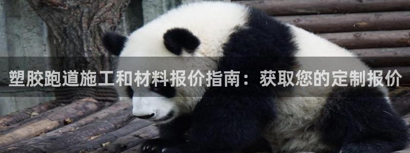 尊龙新版官网网页版：塑胶跑道施工和材料报价指南：获取您的定制报价