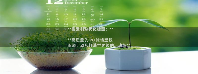 尊龙手机客户端app：**搜索引擎优化标题：**

**高质量的 PU 球场塑胶
跑道：助您打造世界级的运动场**