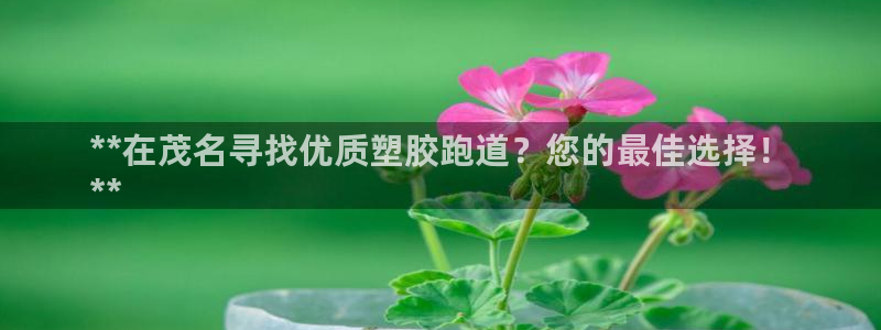 尊龙人生就是博电脑版：**在茂名寻找优质塑胶跑道？您