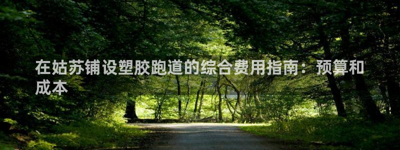 尊龙凯时人生就是博游戏网站：在姑苏铺设塑胶跑道的综合费用指南：预算和
成本