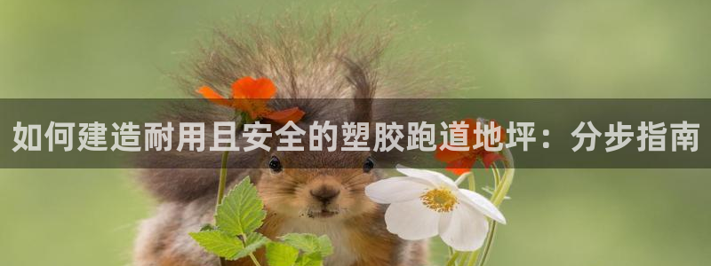 尊龙凯时平台官网：如何建造耐用且安全的塑胶跑道地坪：分步指南