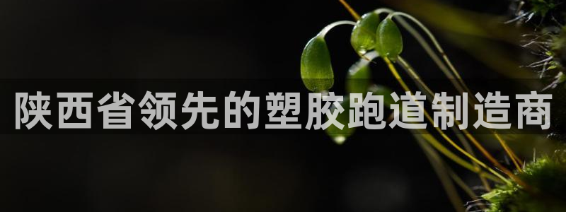 尊龙d88ag旗舰厅：陕西省领先的塑胶跑道制造商