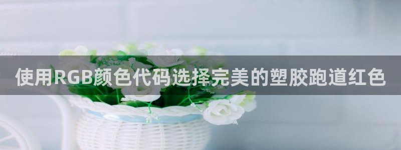 尊龙t600怎么样：使用RGB颜色代码选择完美的塑胶跑道红色