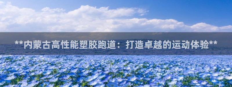 尊龙凯时 人生就是搏!：**内蒙古高性能塑胶跑道：打