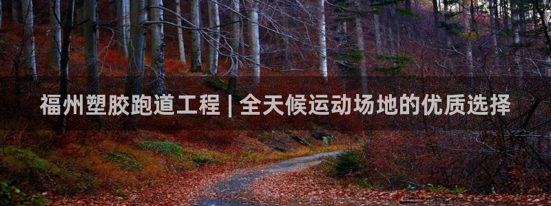 凯时官网手机版首页：福州塑胶跑道工程 | 全天候运动场地的优质选择