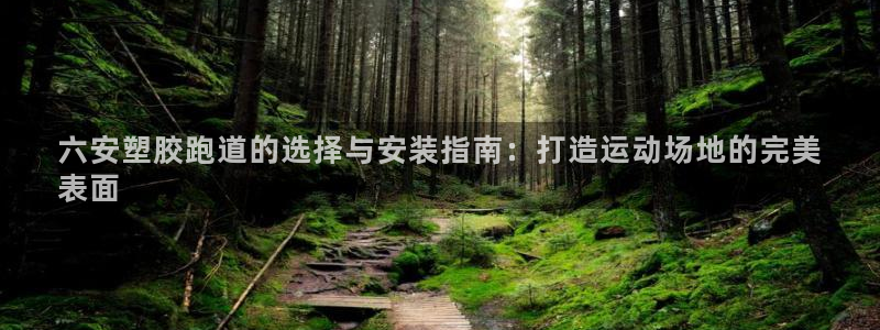 尊龙网页