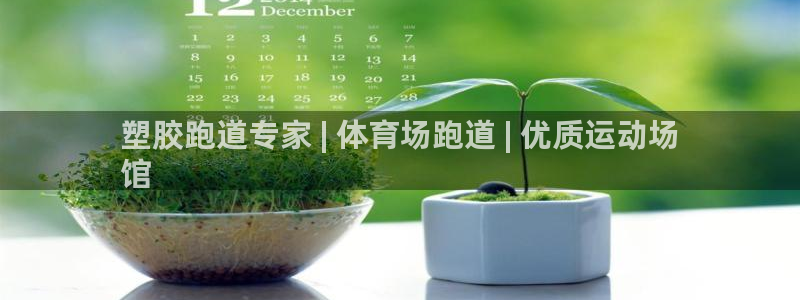 kb88凯时会员登录：塑胶跑道专家 | 体育场跑道 | 优质运动场
馆