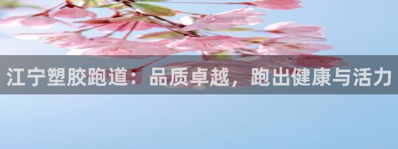 尊龙专访：江宁塑胶跑道：品质卓越，跑出健康与活力