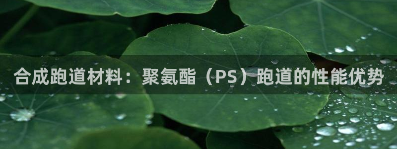 尊龙网页：合成跑道材料：聚氨酯（PS）跑道的性能优势
