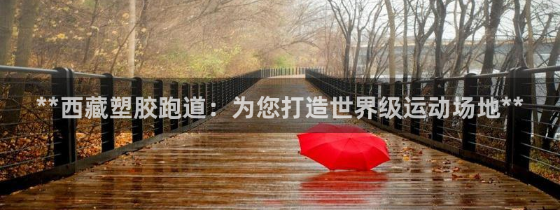 尊龙一人生就是博电子游戏：**西藏塑胶跑道：为您打造世界级运动场地**