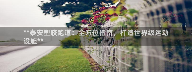 尊龙人生就是博AG旗舰厅：**泰安塑胶跑道：全方位指南，打造世界级运动
设施**