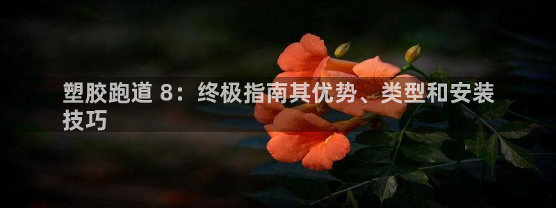 尊龙凯时只输不赢：塑胶跑道 8：终极指南其优势、类型和安装
技巧