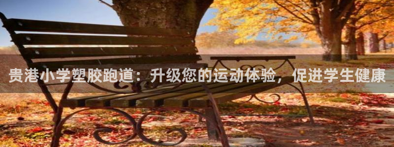 尊龙d88现金旧版本：贵港小学塑胶跑道：升级您的运动体验，促进学生健康