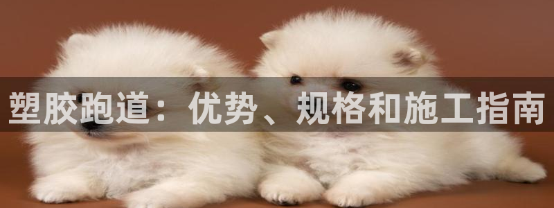 尊龙凯时下载官方正版：塑胶跑道：优势、规格和施工指南