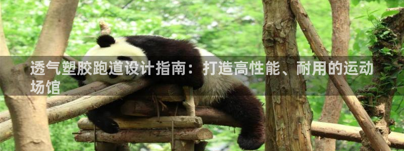 尊龙凯时ag旗舰厅官网客服：透气塑胶跑道设计指南：打造高性能、耐用的运动
场馆