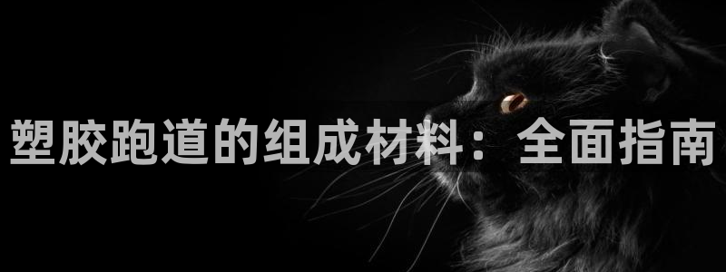 尊龙凯时和九游会哪个平台好一点：塑胶跑道的组成材料：全面指南