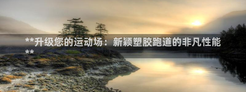 尊龙人生就是博送38：**升级您的运动场：新颖塑胶跑道的非凡性能
**