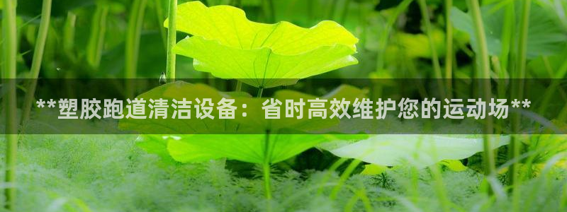 尊龙官网国际：**塑胶跑道清洁设备：省时高效维护您的运动场**