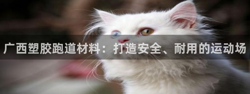 z6com尊龙凯时百家乐：广西塑胶跑道材料：打造安全、耐用的运动场