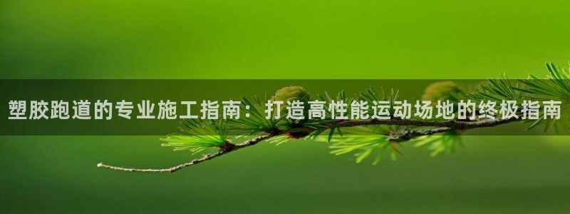 尊龙app最新版本官网：塑胶跑道的专业施工指南：打造高性能运动场地的终极指南