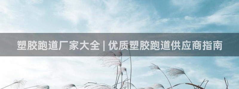 ag尊龙凯时官网：塑胶跑道厂家大全 | 优质塑胶跑道