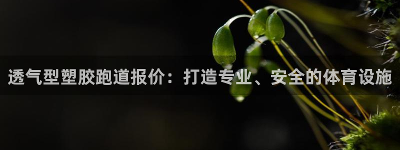 尊龙凯时平台怎么样：透气型塑胶跑道报价：打造专业、安全的体育设施