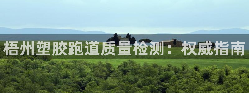 尊龙长相评价：梧州塑胶跑道质量检测：权威指南