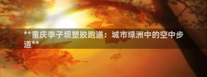 尊龙信息科技有限公司：**重庆李子坝塑胶跑道：城市绿