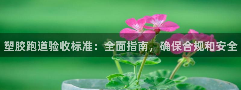 尊龙凯时合法吗?：塑胶跑道验收标准：全面指南，确保合规和安全