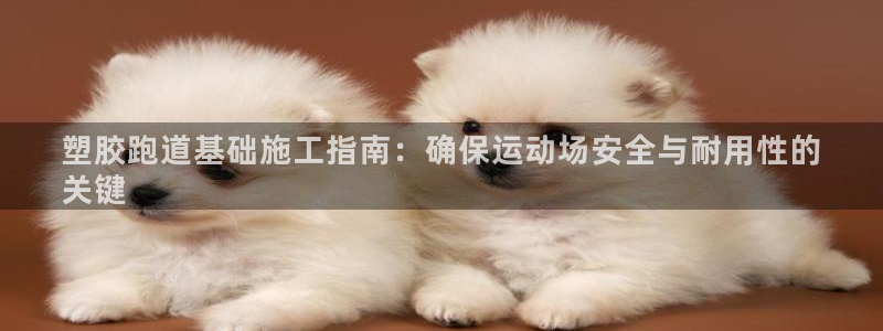 AG尊龙凯时注册：塑胶跑道基础施工指南：确保运动场安全与耐用性的
关键