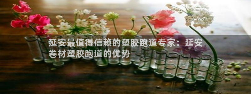 尊龙凯时能做退米么：延安最值得信赖的塑胶跑道专家：延