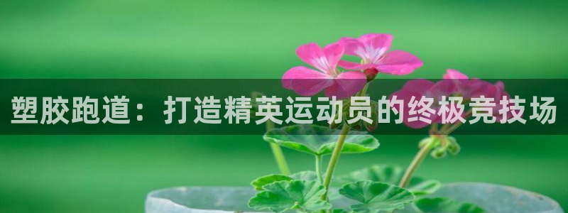 香港尊龙：塑胶跑道：打造精英运动员的终极竞技场
