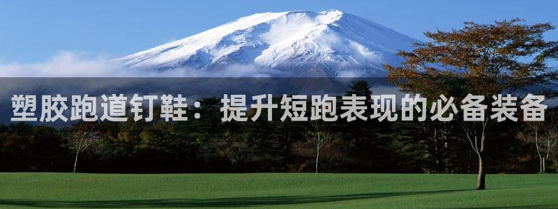 凯时国际app登录：塑胶跑道钉鞋：提升短跑表现的必备装备
