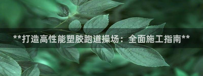 尊龙手机端下载：**打造高性能塑胶跑道操场：全面施工