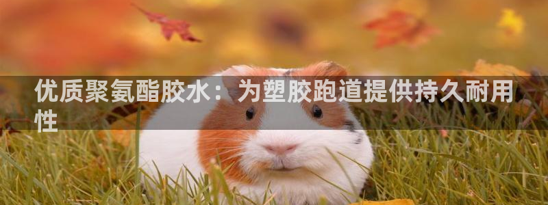 尊龙凯时官方网站下载：优质聚氨酯胶水：为塑胶跑道提供持久耐用
性
