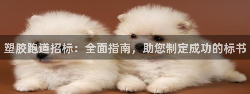 尊龙app最新版本官网：塑胶跑道招标：全面指南，助您制定成功的标书