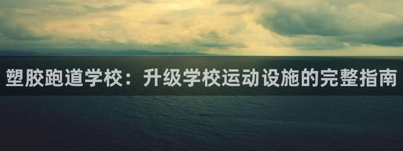 尊龙网站登录：塑胶跑道学校：升级学校运动设施的完整指