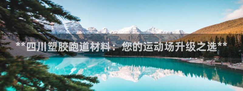 尊龙人生就要博旧版：**四川塑胶跑道材料：您的运动场升级之选**