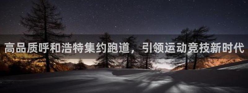 尊龙凯时人生就是搏首页：高品质呼和浩特集约跑道，引领运动竞技新时代