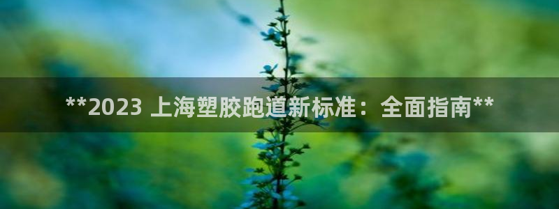 尊龙ag旗舰厅手机版：**2023 上海塑胶跑道新标