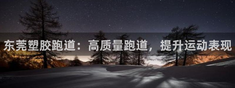 尊龙d88官网准认来就送38：东莞塑胶跑道：高质量跑道，提升运动表现