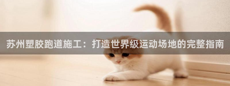 KB88凯时官网：苏州塑胶跑道施工：打造世界级运动场地的完整指南
