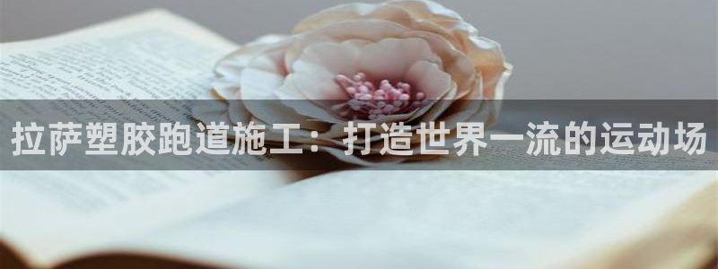 尊龙AG旗舰店：拉萨塑胶跑道施工：打造世界一流的运动场
